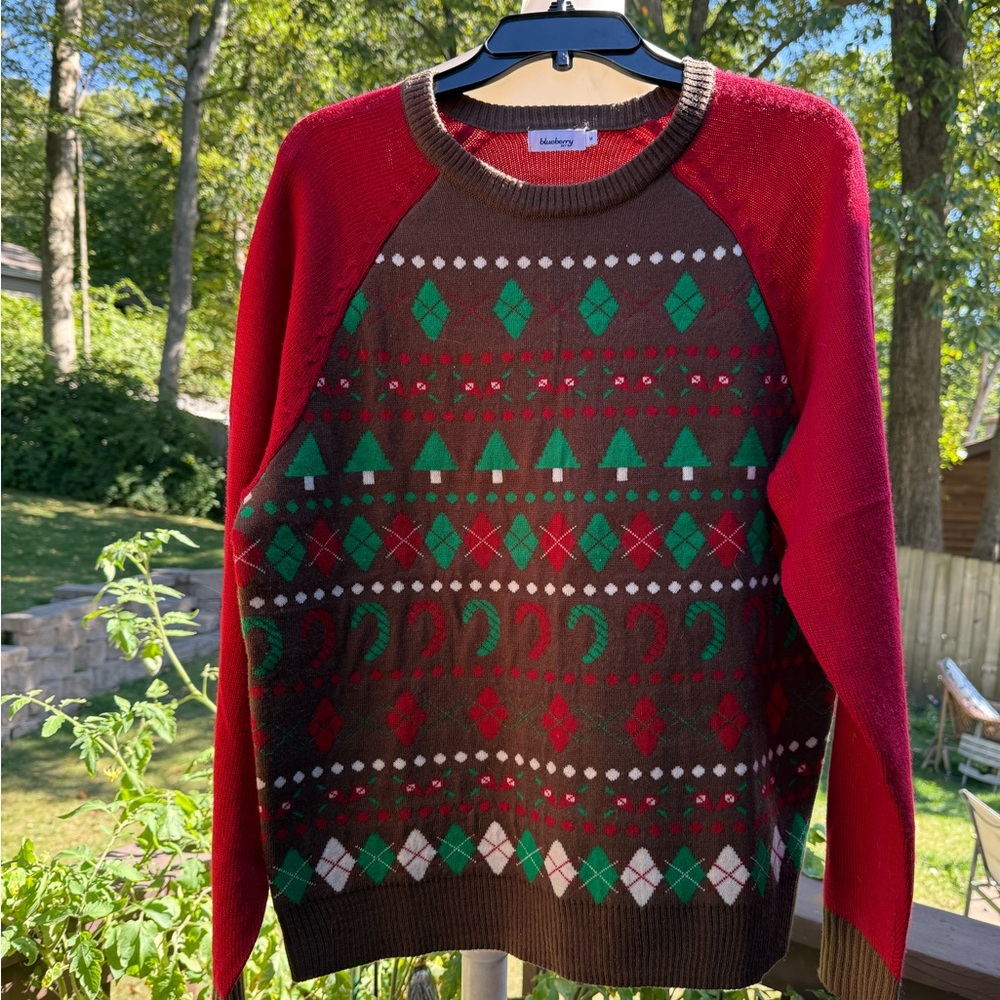 Men's Festive Crewneck Sweater in Red and Brown